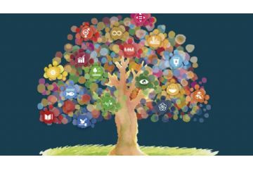 Democrazia Partecipata anno 2026 - Avviso Pubblico per la presentazione di proposte progettuali