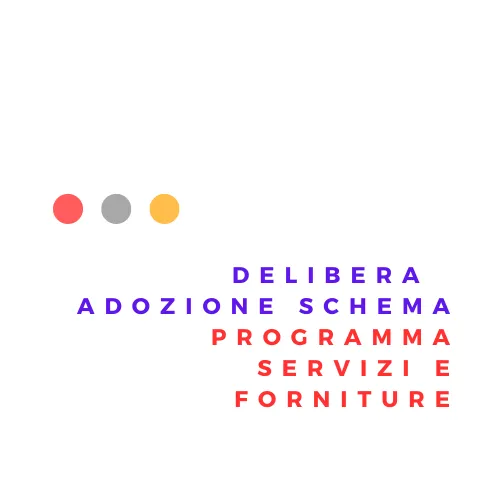 Delibera adozione schema programma servizi e forniture