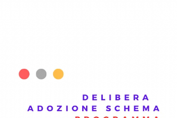 Delibera adozione schema programma servizi e forniture